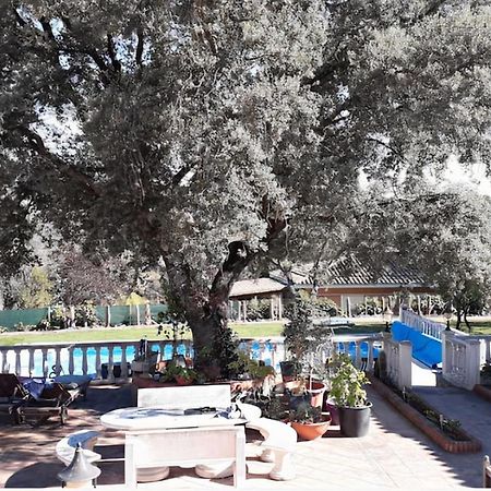 Lovely Home, Cozy Corner In El Bosque, Madrid. Вільявісіоса-де-Одон Екстер'єр фото